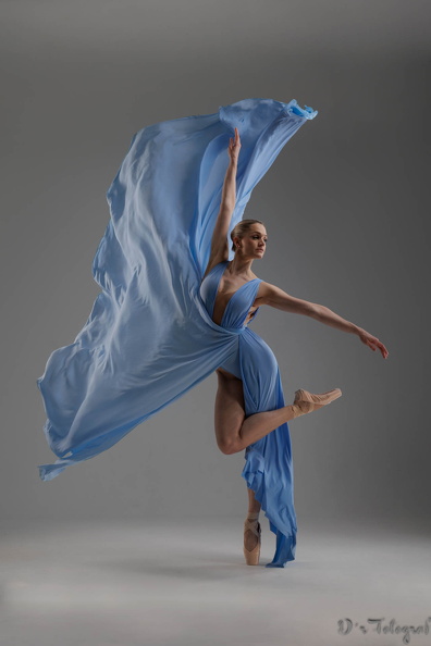 JW246174-2.JPG