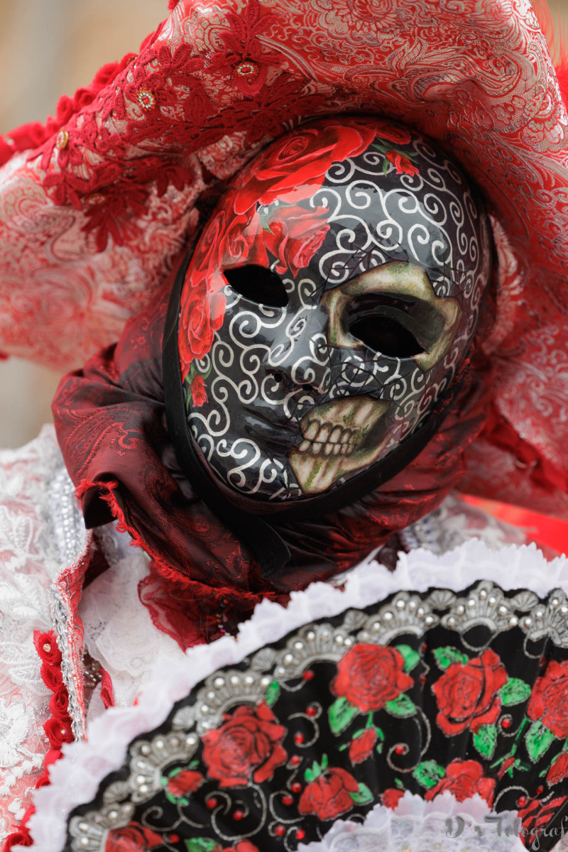 3337_JW255879_1280x1920