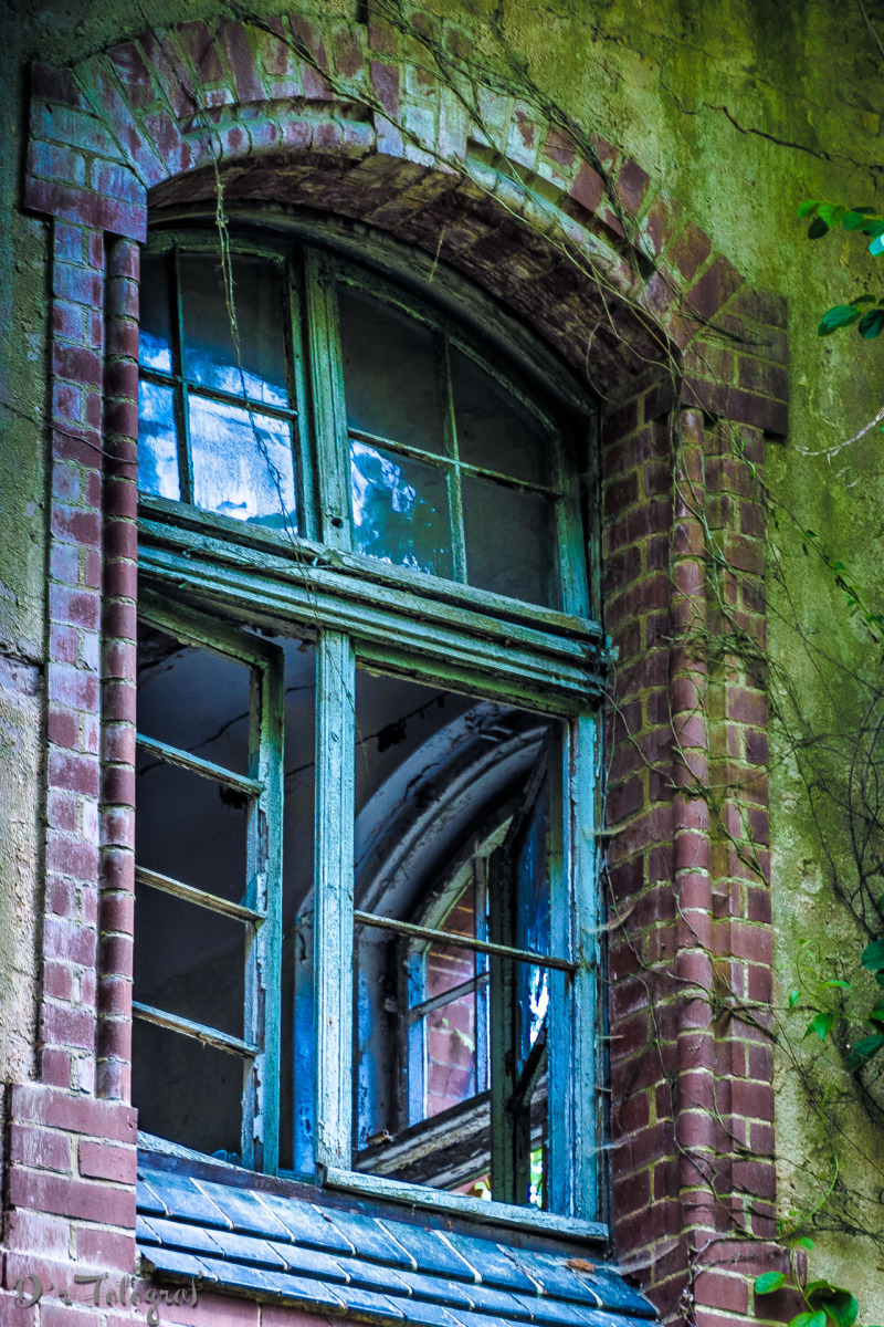 Ol' Blue Window