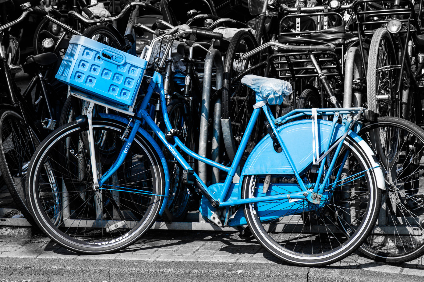 The Blue Bike
