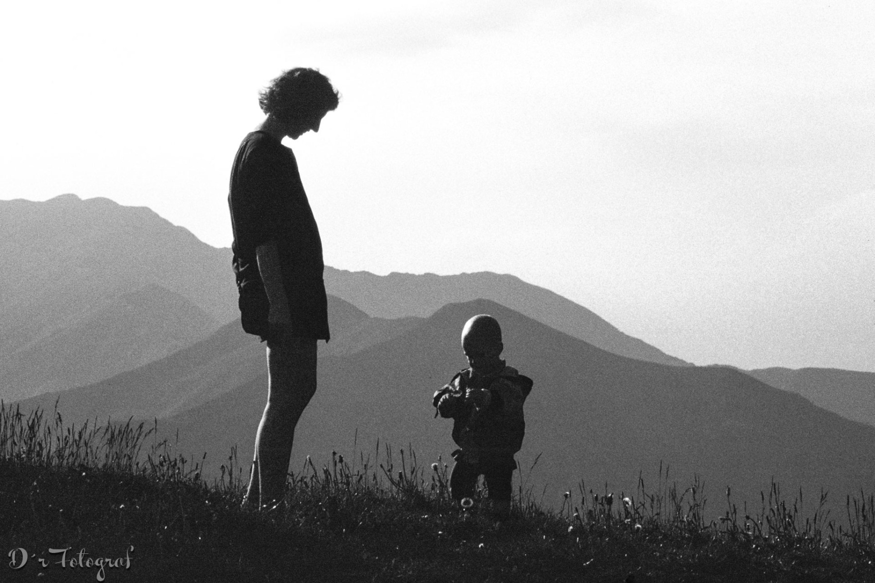Teach your children with love
