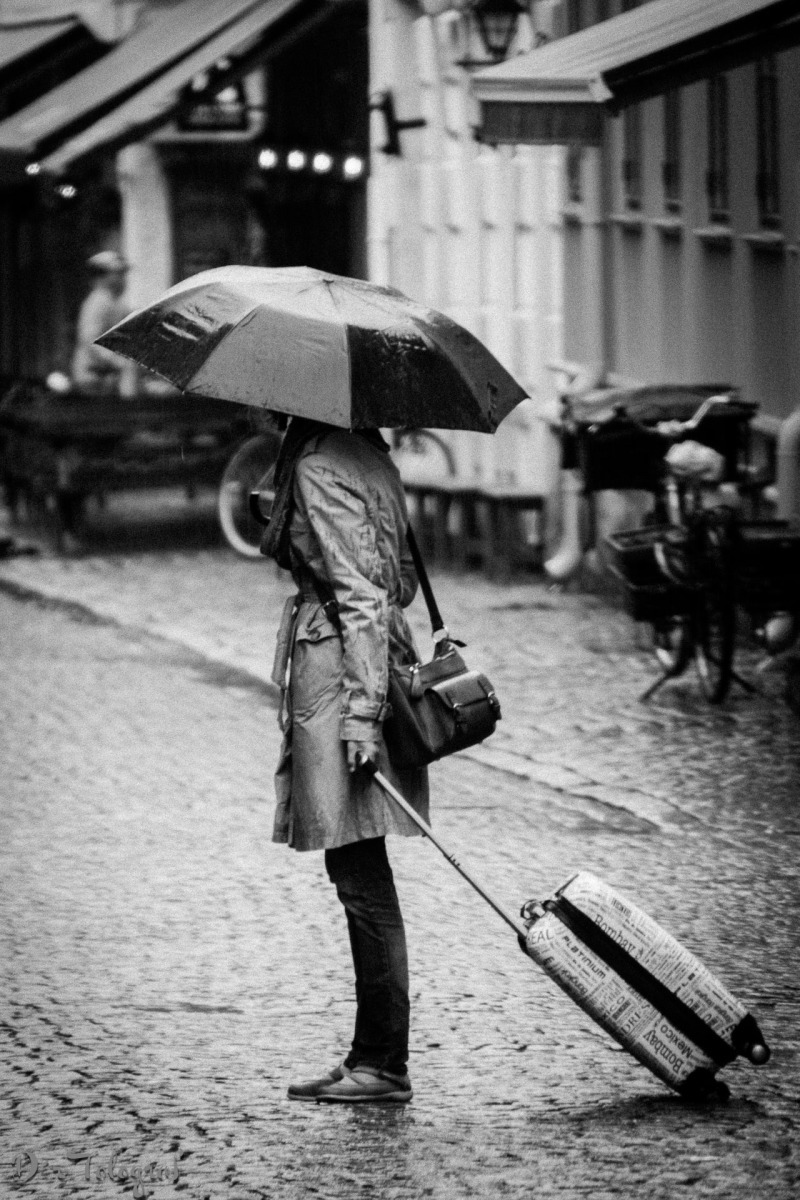 Rainy Travel