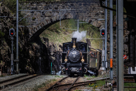 Fair Foto Contest 2025